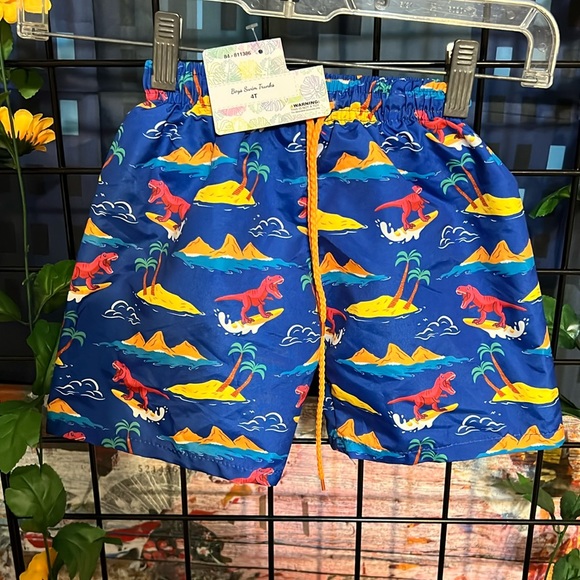 New Momentum Brand Dinosaur Print Boys Swim Trunks (C) - Picture 1 of 4
